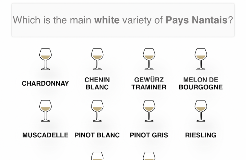 French Wine Varieties